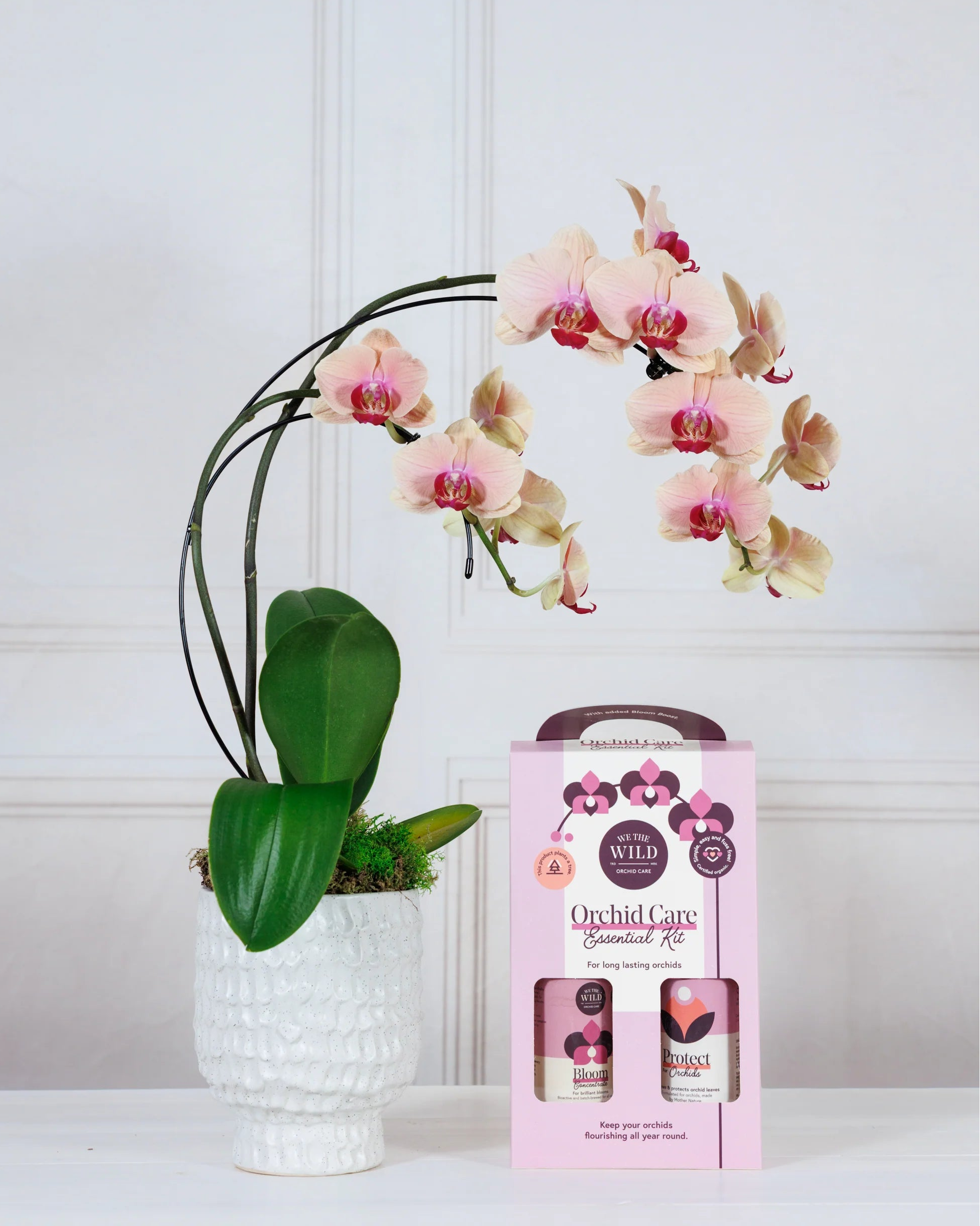 Orchid Essential Kit