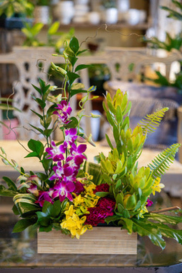Tropical Garden Escape