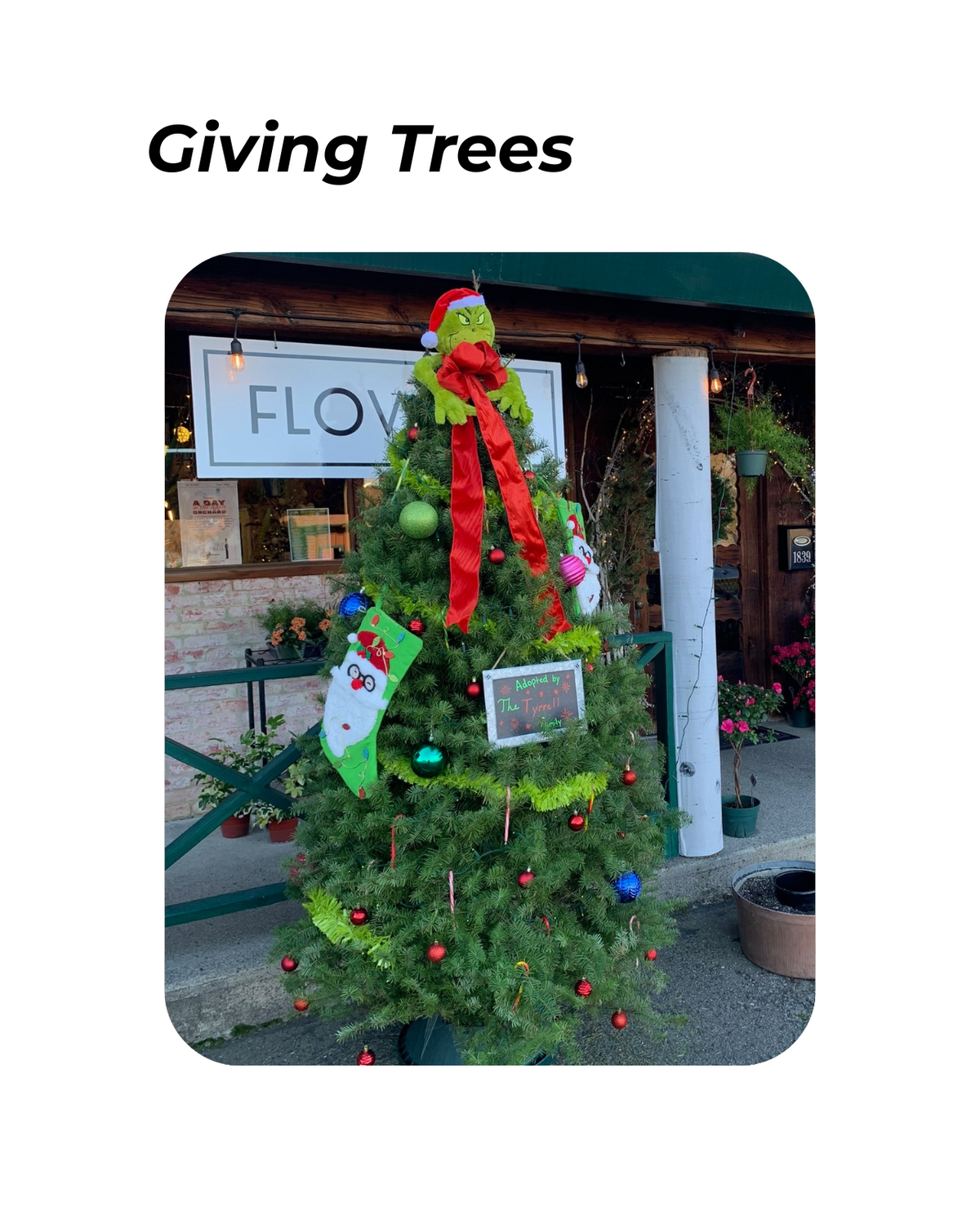 Giving Trees - November 19th @ 6pm