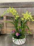 Orchid Garden