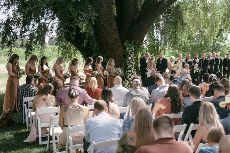 Outdoor wedding ceremony with guests seated under a large tree.