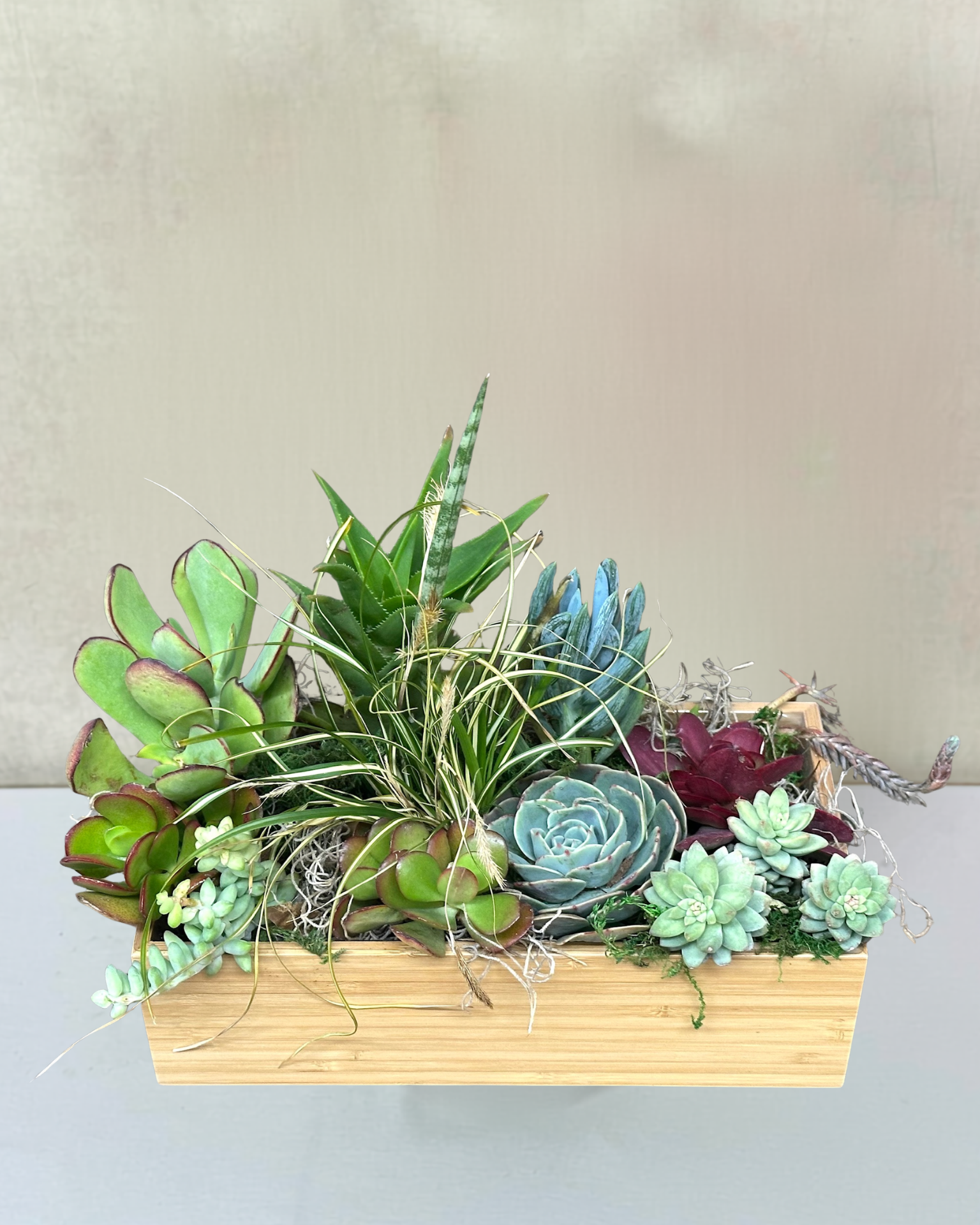 Peaceful Succulent Zen Garden