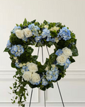 Blue Hydrangea Open Heart