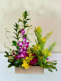 Tropical Garden Escape Arrangement