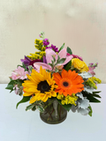 Bold, Bright and Beautiful