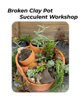 Broken Clay Pot Succulent Workshop - August 20th